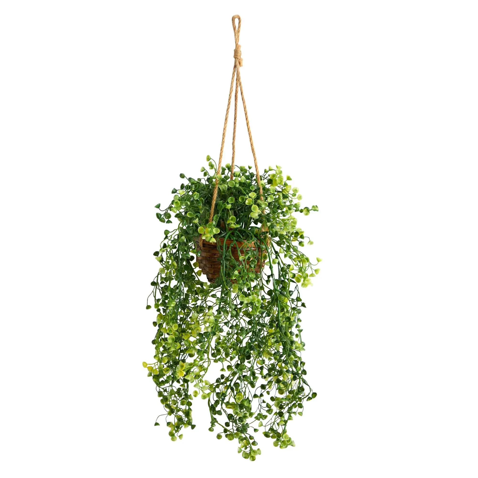 20-in Vine-Like Faux Baby Tear Hanging Plant with Hook - Tropical Artificial Hanging Plants for Indoor Home Improvement, Garden Supplies with Botanical Aesthetic, 20 Inches