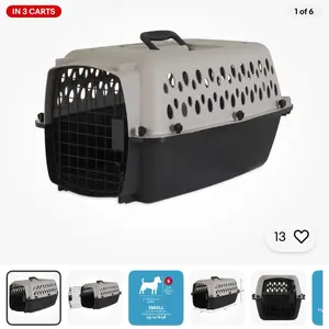 Vibrant Life Pet Portable Kennel for Dogs, Hard-Sided Travel Carrier