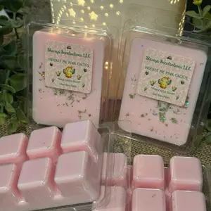 *PRICKLE Me Pink* Baja Cactus CLAMSHELL - Soy, 3 oz, Clean Fragrance, 6 Pod Clamshell, Vegan