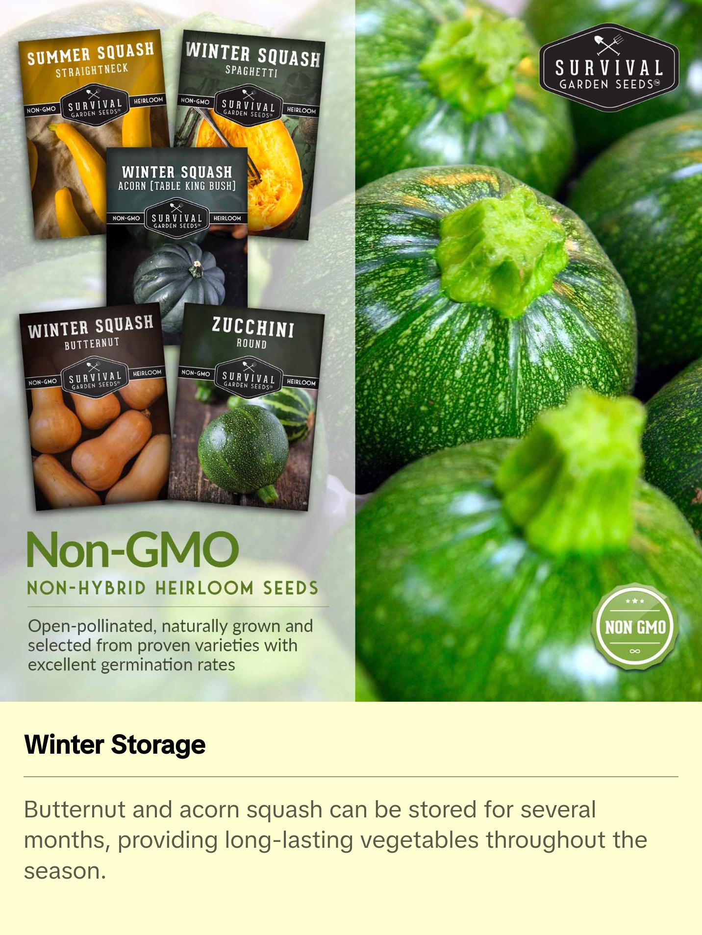 Survival Garden Seeds Squash Seed Collection - Winter & Summer Squash - 5 Non-GMO Heirloom Varieties for Planting - Round Zucchini, Straightneck Yellow, Spaghetti, Butternut, Acorn Squash - Easy to Grow - Compact & High Yields