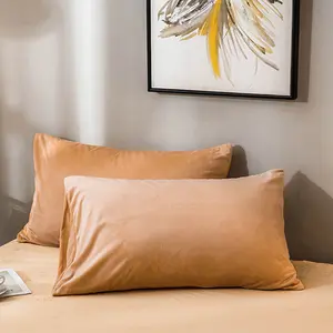 2 Pack Velvet Pillowcases – Ultra Soft Crystal Velvet Covers with Hidden Zipper, Cozy & Wrinkle-Resistant