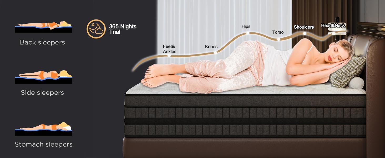 LayRoad 12/14 Inch Twin Full Queen King , Hybrid Memory Foam Mattress in a Box | Pocket Spring + Zoned Support | Soft and Comfortable, Pressure Relief, Medium Firmness, CertiPUR-US Certified(mattresses | queen size mattress | full size mattress)