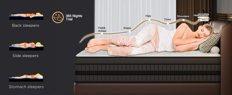 LayRoad 12/14 Inch Twin Full Queen King , Hybrid Memory Foam Mattress in a Box | Pocket Spring + Zoned Support | Soft and Comfortable, Pressure Relief, Medium Firmness, CertiPUR-US Certified(mattresses | queen size mattress | full size mattress)