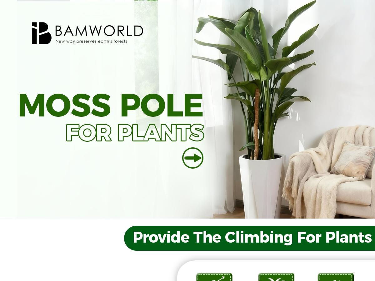 2 Pack 28'' Bendable Moss Pole Monstera Plant Support for Climbing Indoor Plants - Stakes for Potted Climbers - Tall Sticks Indoor Trellis for Houseplants - Accessories for Monstera Pot