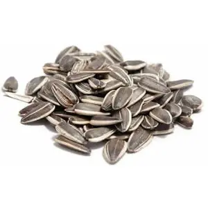 In Shell Roasted Salted Sunflower