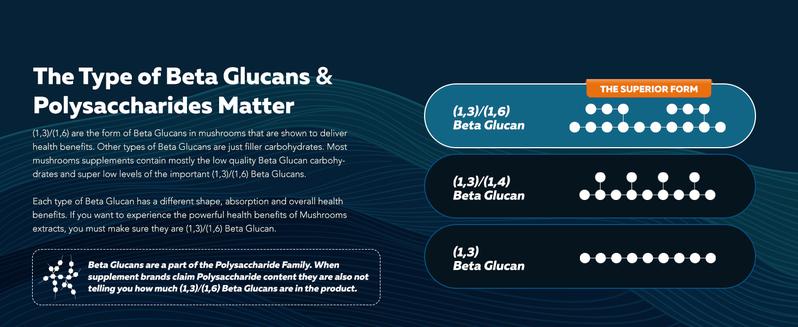 MycoMax Mushroom Complex - 70% Beta Glucans Healthcare Tea