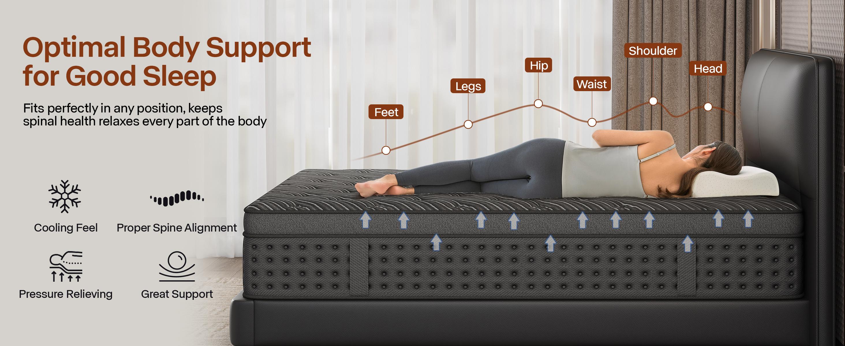 LayRoad 12/14 Inch Twin Full Queen King , Hybrid Memory Foam mattresses in a Box | Pocket Spring +Zoned Support | Soft and Comfortable, Pressure Relief, Medium Firmness, CertiPUR-US Certified(colchones para cama | queen size mattress | full size mattress) LayRoad 12/14 Inch Twin Full Queen King , Hybrid Memory Foam mattresses in a Box | Pocket Spring +Zoned Support | Soft and Comfortable, Pressure Relief, Medium Firmness, CertiPUR-US Certified(colchones para cama | queen size mattress | full size mattress)