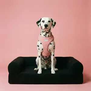 Dusty Rose Adjustable Teddy Harness