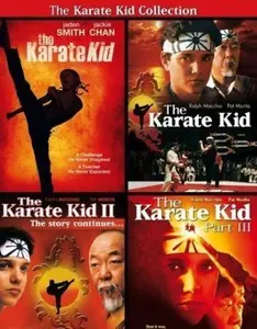 The Karate Kid Collection  [DVD Video Disc] 3 Pack