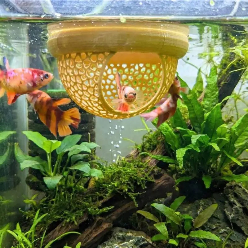 Betta Fish Hammock & Floating Feeder Ring, Safe Eco-Friendly Aquarium Hiding Cave, Enhances Aquatic Environment, Ideal for Fish Tanks, Aquarium Decor, Aquarium Supplies