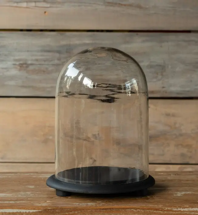 Vintage Style Glass Display Dome with Base