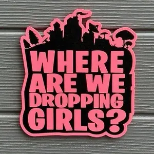 Battle Royal Where We Dropping Girls Sign! Gaming accessories, room decoration, video games, funny, room decor, gag gifts, prop, party, desk toy, birthday, setup, memes, home, cute, battle royale, game gift collectible collectibles