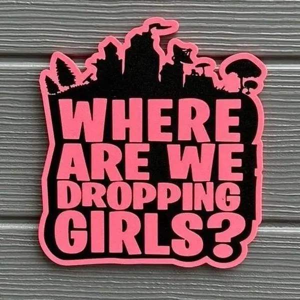 Battle Royal Where We Dropping Girls Sign! Gaming accessories, room decoration, video games, funny, room decor, gag gifts, prop, party, desk toy, birthday, setup, memes, home, cute, battle royale, game gift collectible collectibles