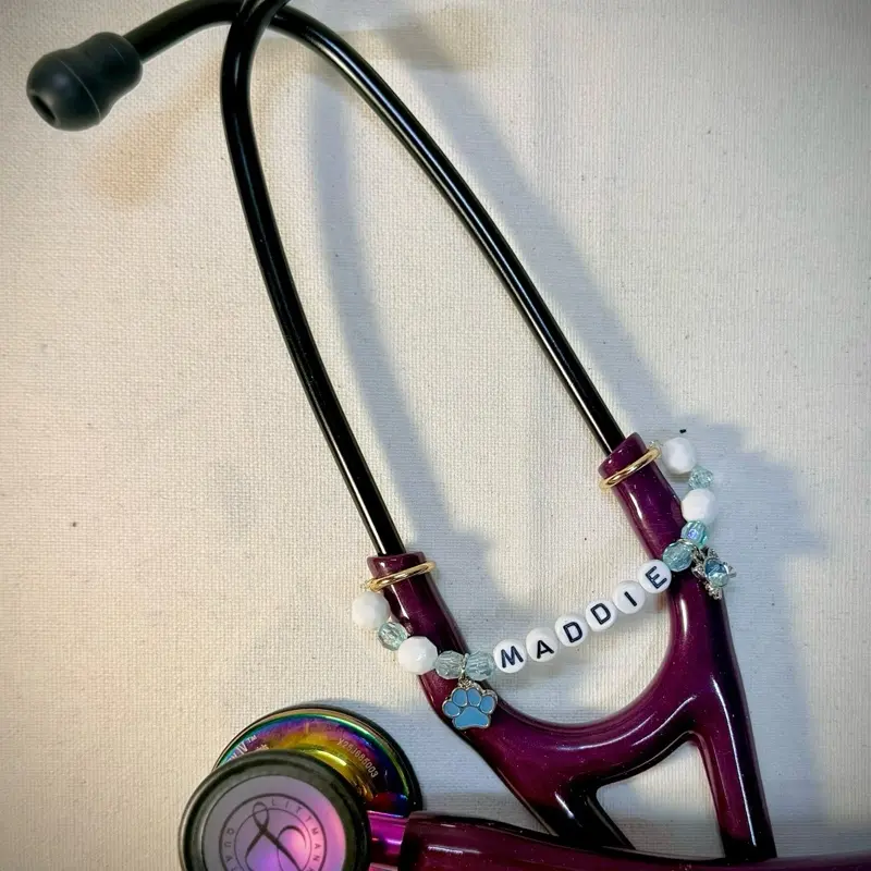 Stethoscope Charms/Custom Name Tag/Stethoscope Accessory. Personalized Gift All Healthcare Workers. Please read description Charm