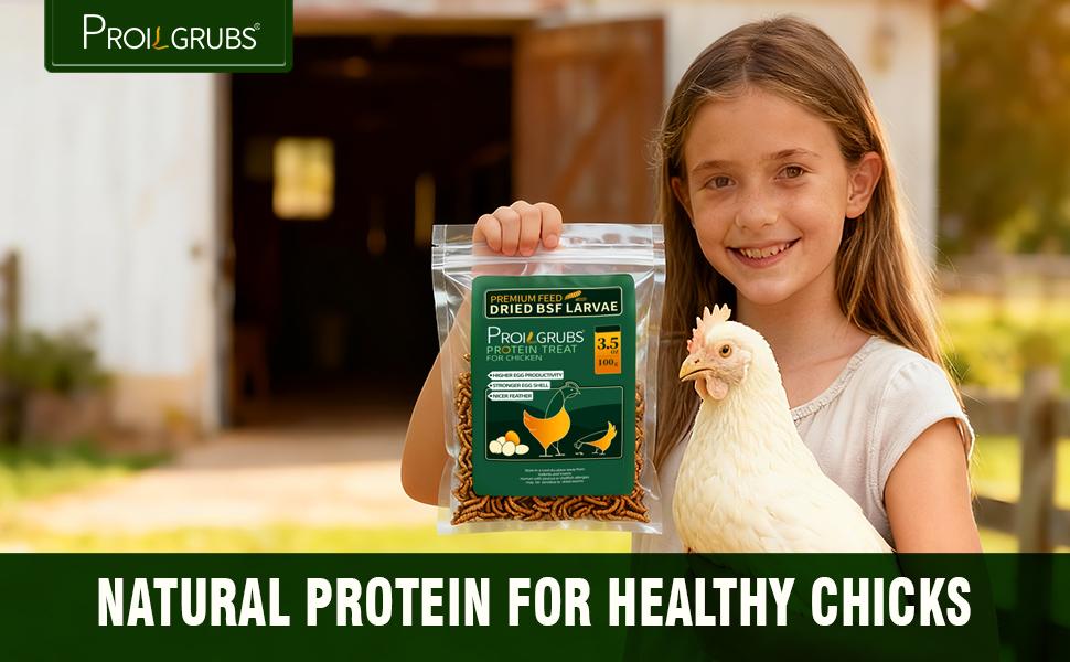 PROILGRUBS 3.5oz/7oz/10.5oz/14oz/5lbs/10lbs Dried Black Soldier Fly Larvae Protein Treat for Chickens Enhances Egg Productivity & Feather Health Non-GMO Natural Feed Rich in Calcium & Nutrients Worms Insects