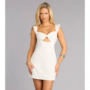 Brunch Date Ready Eyelet A-Line Mini Dress