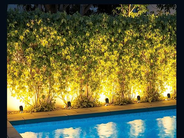 8pack All-in-One Outdoor Low Voltage Landscape Lighting Kit, LED Landscape Spot Lights with 60W Transformer and 65FT Wire, Waterproof Outside Spotlights for Yard, Garden, Tree, Pathway, House, 3000K, 8 Pack