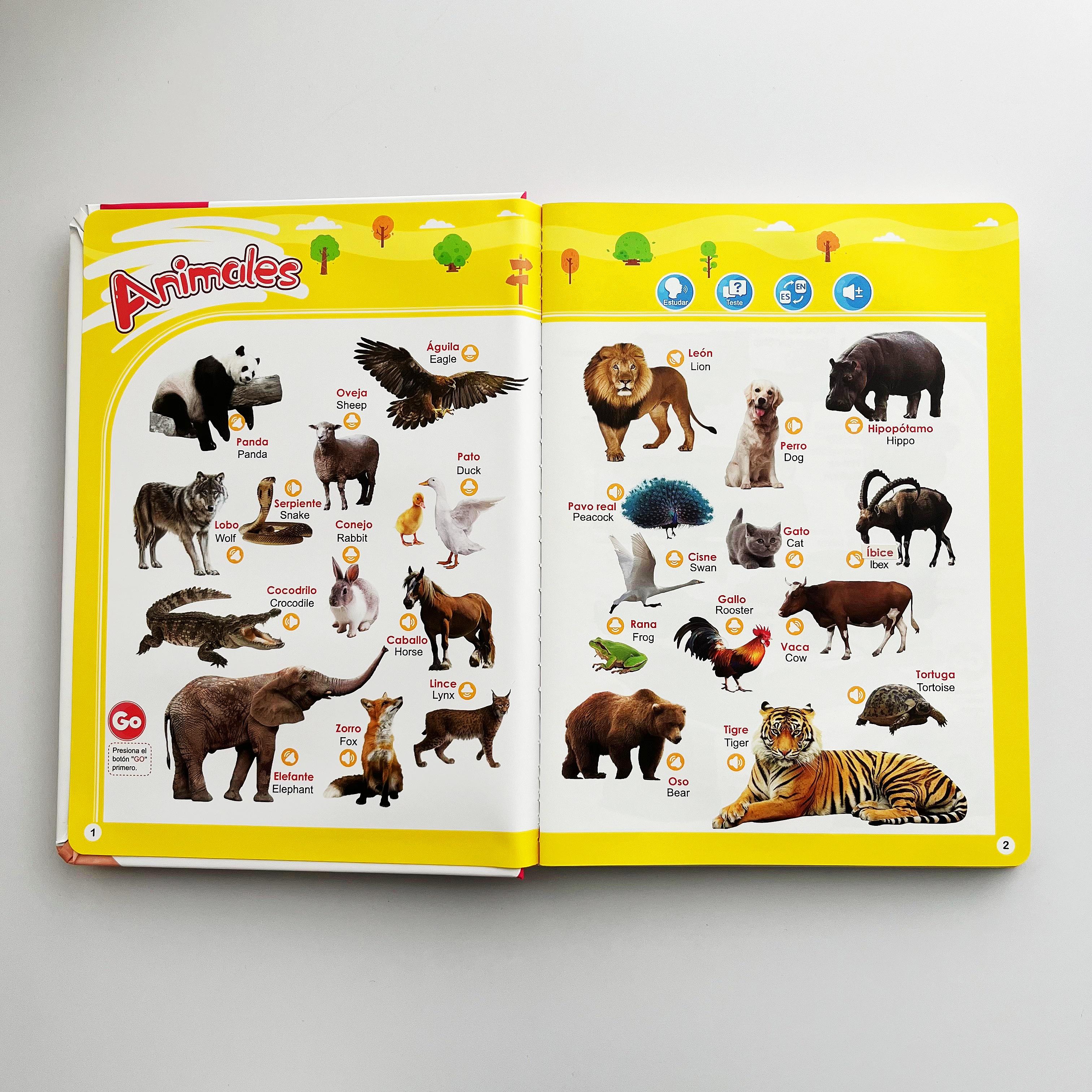 Spanish Interactive Educational Toy for Kids 1–6, Bilingual Sound Book for Early Language Learning, Interactive Educational Toy with 300+ Words & 13 Themes, Perfect Gift Idea for Toddlers