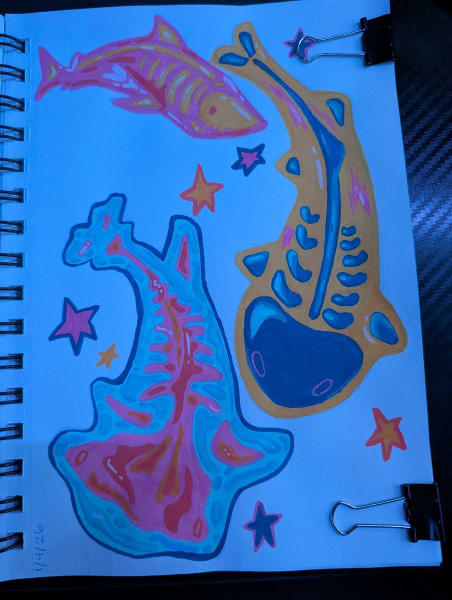 Item: Black( 30PCS Mechanical Pencil)