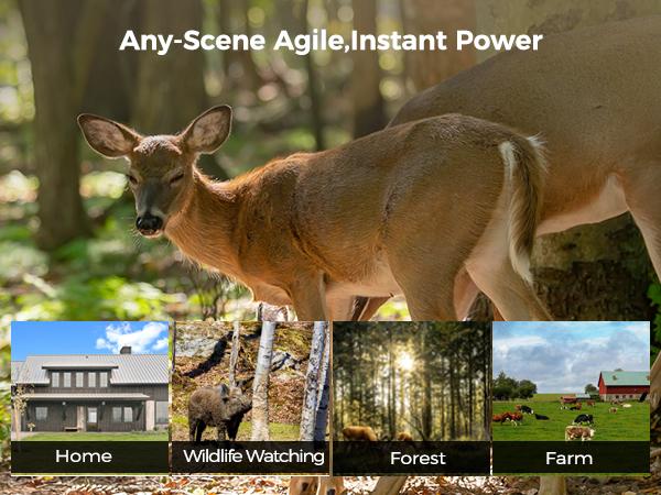 4G LTE Solar Powered Game Camera HC73S– 48MP Ultra-HD Image 2K Live Video, WiFi Not Supported, Remote APP Controlled, WaterProof, Motion Activated, Night Vision (Data refill is required for Unlimited 4G data usage) Outdoor