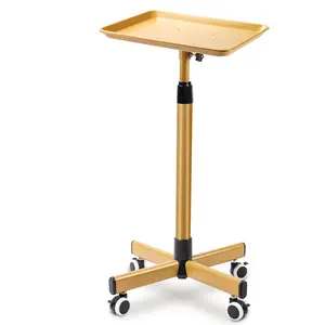 Salon Tray on Wheels, Salon Tray Cart with Adjustable Height, Hair Stylist Tray, Metal Tattoo Tray, Suitable for SPA and Dental Tray