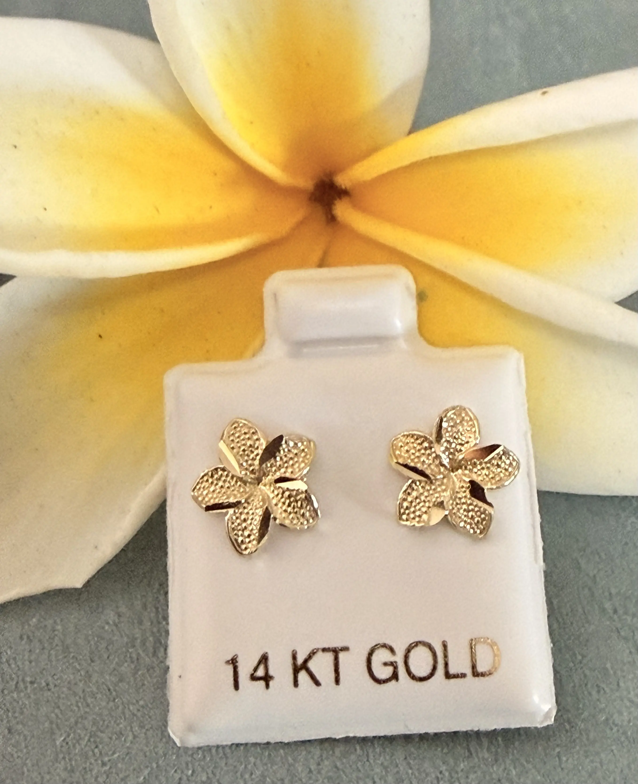 Hawaiian flower 14k Gold stud earrings