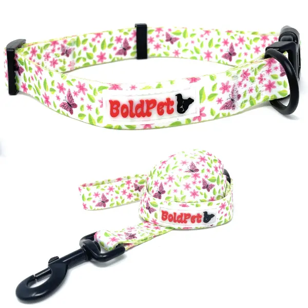 BoldPet Dog Collar and Leash Combo - Butterfly Garden Collection, Adjustable Custom Small Size, Premium UV-Resistant Polyester, for Outdoor Excursions, Easy to Clean with Mild Detergent