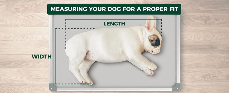 FXW TitanNest Chew Proof Elevated Dog Bed for Chewers, Dog Cot for Outdoor & Indoor, Padded dog bed  dog beds