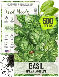 Seed Needs Basil Seeds for Planting Italian Large Leaf Herbs - Non-GMO Heirloom & Untreated - Grow an Indoor or Outdoor Home Grown Herb Garden (1 Pack)