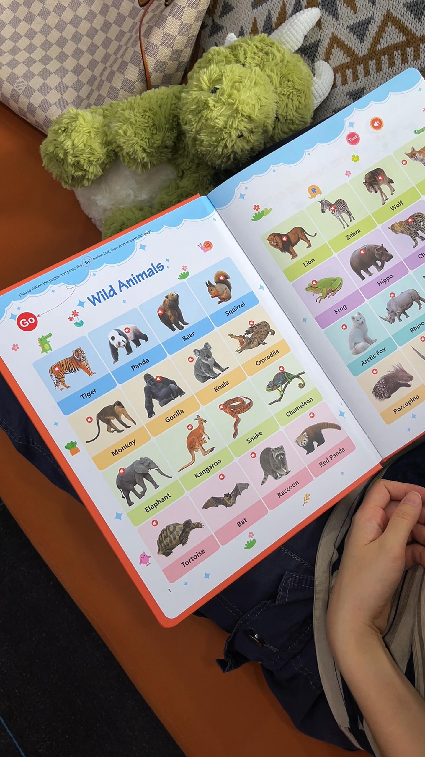 Educational Talking Sound Book – 470+ Words, 21 Themes, 6 Songs & Piano Keys | Perfect Gift for Kids Ages 3–9 | Fun & Interactive Learning Toy Colorful Car