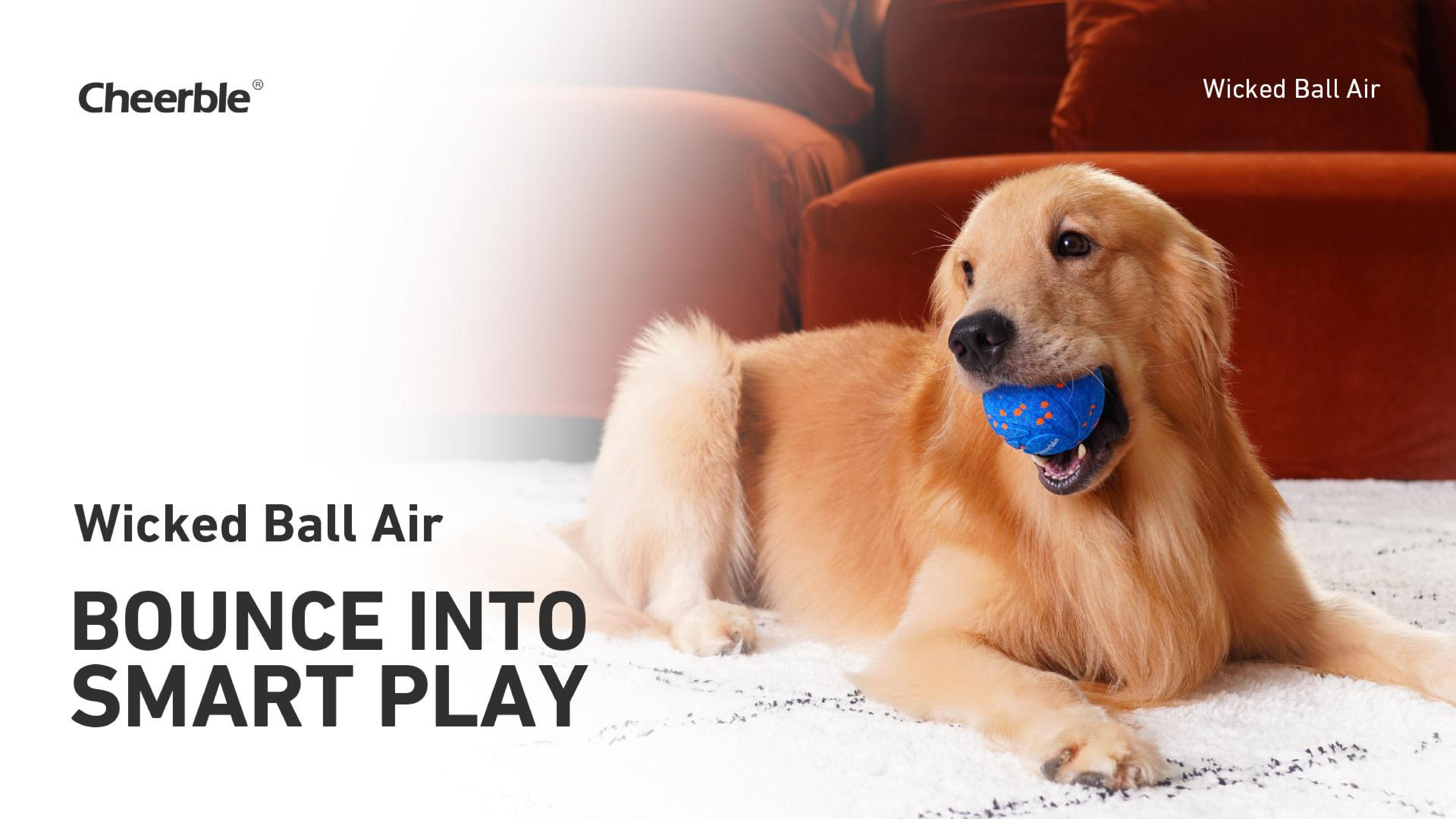 Cheerble Smart Interactive Dog Toy, Automatic Motion for Boredom Relief and Joy, Protects Dogs’ Teeth and Gums – Suitable for Small, Medium, and Large Dogs, Indoor & Outdoor Use