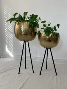 Gold Hammered Metal Bowl Planters on Black Iron Legs
