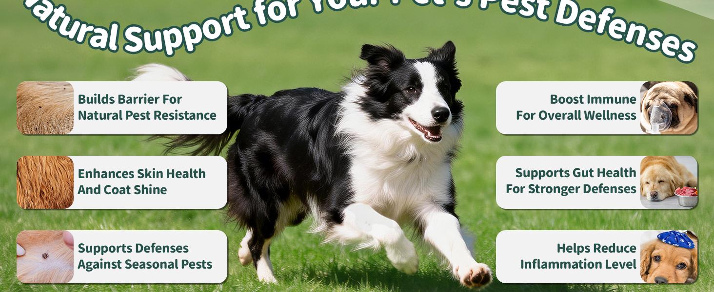 Dog Flea & Tick Support Soft Chews - Natural Oral Supplement - Suitable for All Breeds & Sizes - 150 Chicken Treats