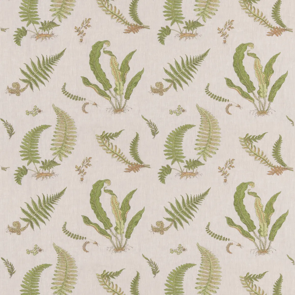 Ferns Embroidery - Green/Natural Green By G P & J Baker | Burford |Botanical & Floral  Drapery Embroidery