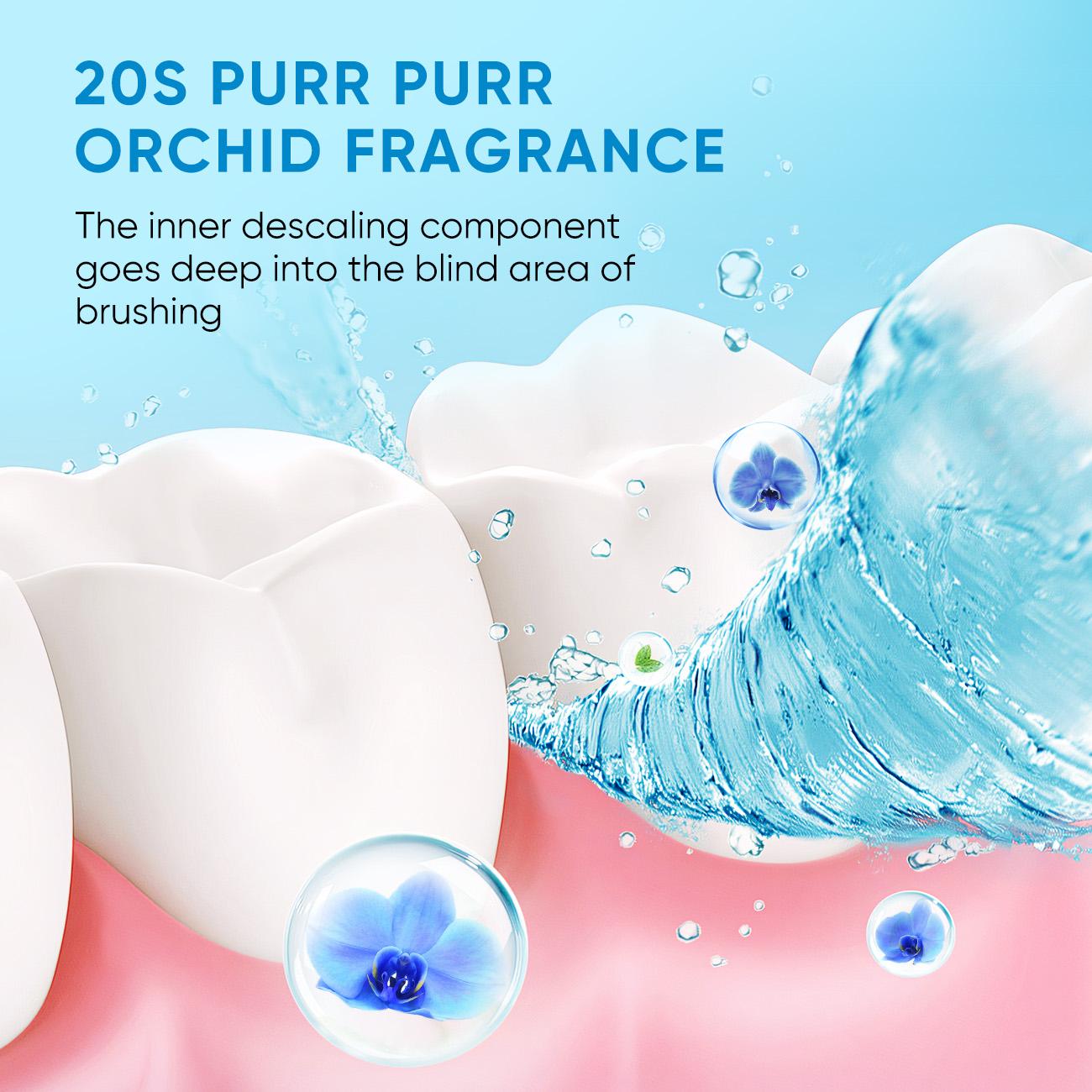 BodyAccel Probiotic Refreshing Mouthwash For Oral Care Daily Cleanser 12 Hours Fresh Breath 6 Pack Cleansing