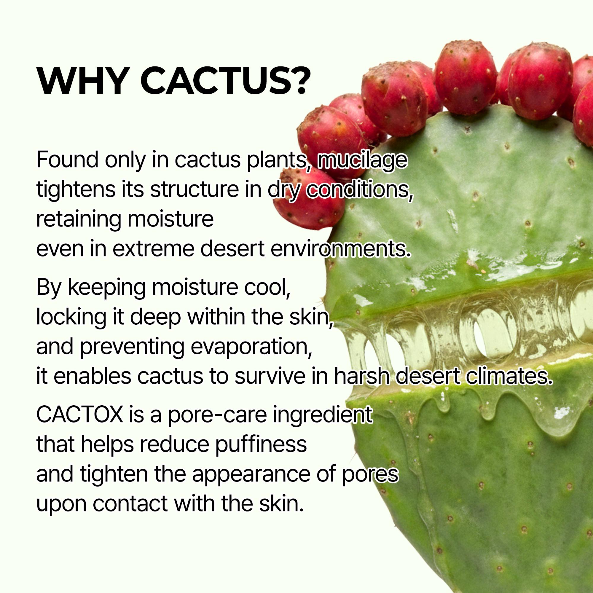 [Dr.Melaxin Official] CACTOX Pore Relief Jelly Toner Pads & Serum Mist Duo with Cactus Cooling Reduce Puffiness & Pore Tightening for Visible Pore Care Skin Repair