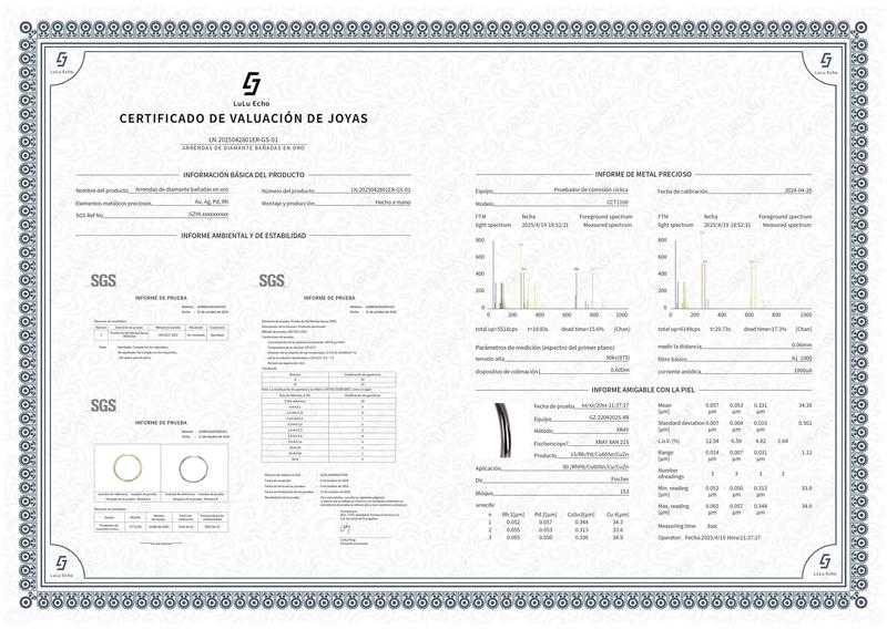 LuLuEcho Bianca 14k Gold Plated on Brass Hoop Earrings with 5A+ Cubic zirconia, 30mm and 20mm Diameter, Hypoallergenic Lead & Nickel Free