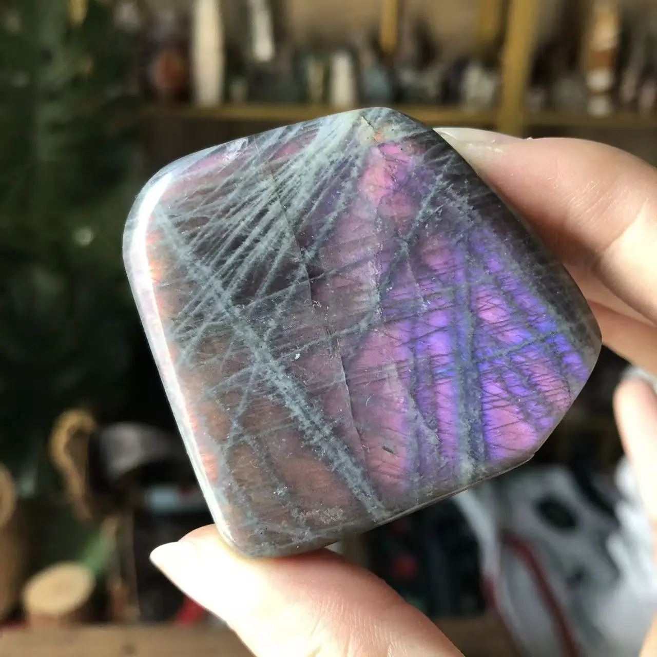 【crystalfactory_live】Natural Crystal  Purple Flash Labradorite Free from Collection