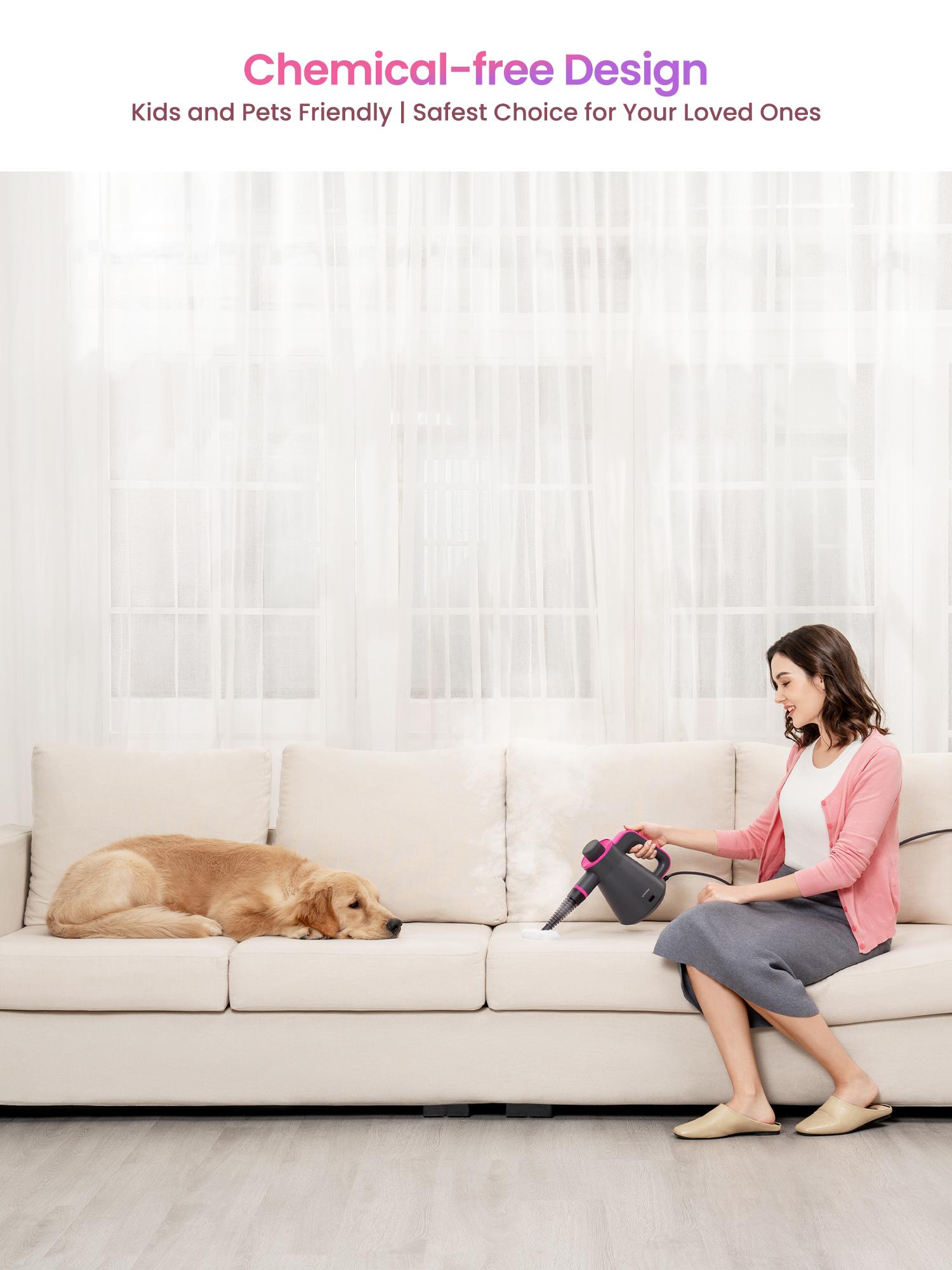 Schenley Handheld High-Pressure Steam Cleaner, Portable Steam Cleaner with Multi-Surface Kits Included, Multi-Purpose Steam Cleaner for Cleaning Upholstery, Grout, Tile and Car