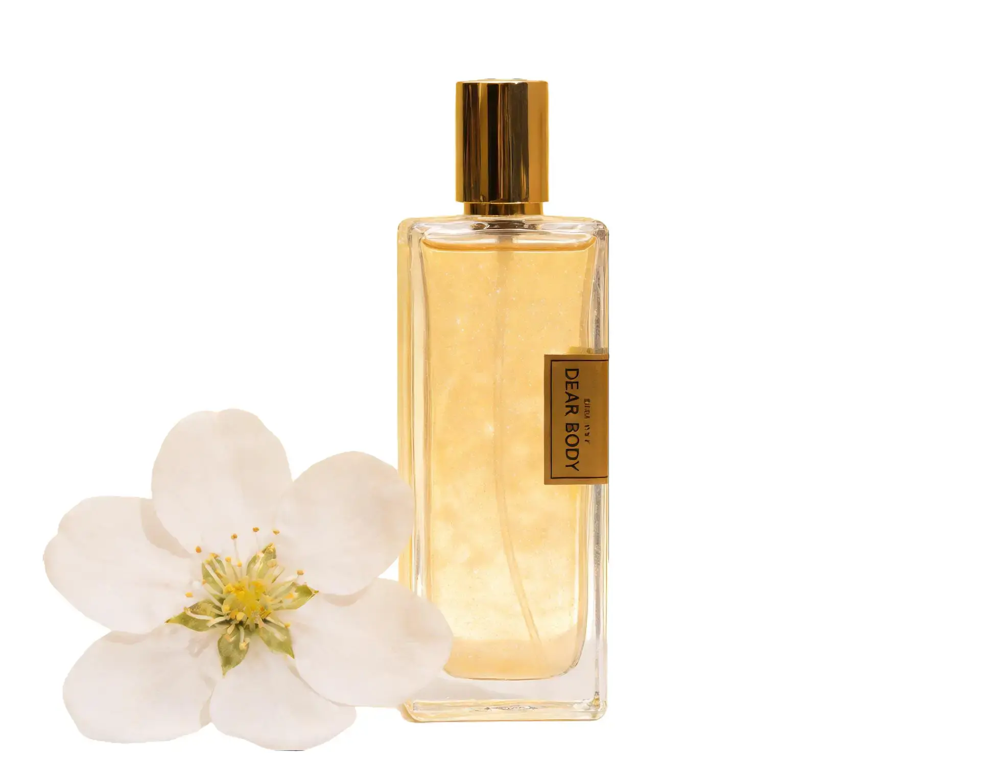 Sheer Beauty EDP 50ml Juicy Fruity Floral Perfume Sweet & Romantic & Perfect for Daily & Date Nights Edp Fragrance