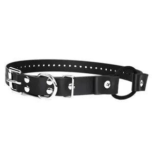 E-Collar 3/4" Quick Snap Bungee Collar