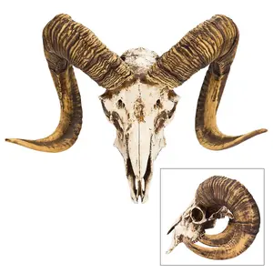 "Bighorn Sheep Ram Skull Replica - Life Sized, Authentic Anatomical Details - Cold Cast Polyresin - Large Curled Horns - Home Decor, Collectible, Teaching Tool - 16 1/8"" W x 11 4/5"" H x 8 1/4"" D "