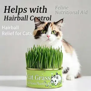 Organic Cat Grass Seeds, Non-GMO, Indoor Cat Grass Seeds, Suitable for Indoor and Outdoor Cats, Indoor Cat Grass - Grow Kit - 100% Organic Cat Grass Seeds (Non-GMO)