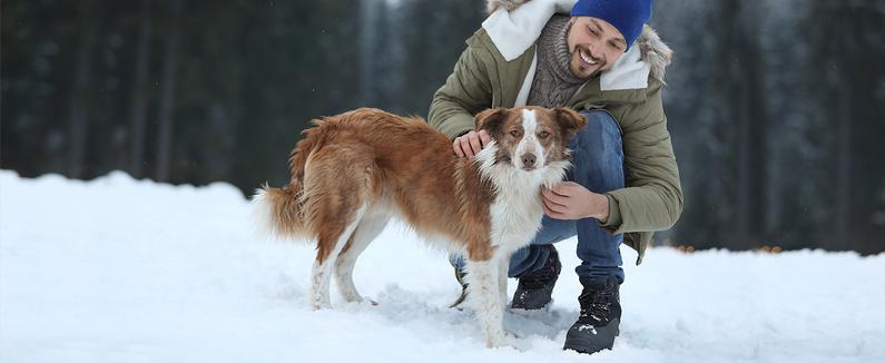 NORTIV 8 Men's Insulated Waterproof Construction Winter Shoes and Snow Boots Cold Weather Fur Trim Breathable Durable Outdoor Trekking Camping Shoes