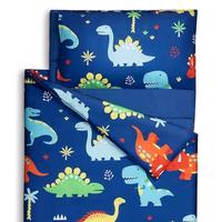 Blue Lunch Box + Dinosaur Nap Mat
