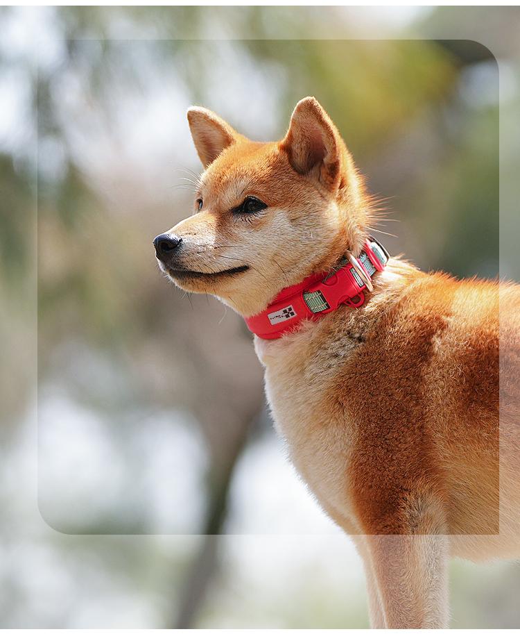 Adjustable Airtag Dog Collar Breakaway with ,Reflective with Dog Collar Airtag Holder,for Small, Medium & Large Dogs,Pet Supplies,Accessories,Gifts(No AirTag included)