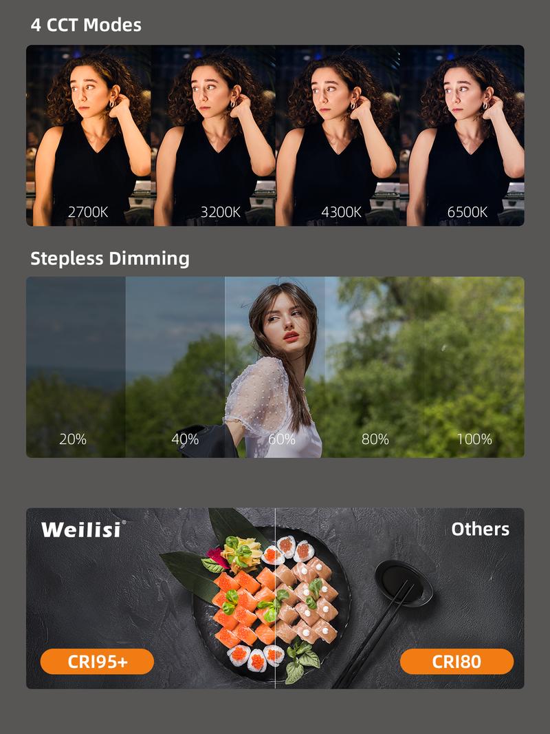 （Valentine's Gift) Weilisi Magnetic Selfie Light Compatible with iPhone Magsafe, Adjusted 5 Modes,CRI97+ Rechargable LED Phone Fill Light with Mirror for Selfies, Photography, Makeup, Vlogs, TikTok, Video Recording（Included Metal Ring)