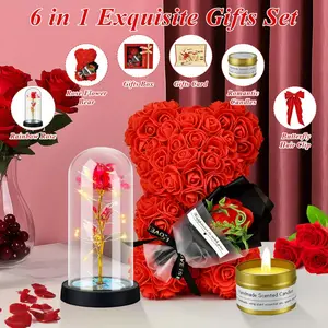ZY  6 in 1 Romantic Gifts for Her, Flower Rose Bear Birthday Gifts for Girlfriend Women Mom Daughter, Wedding Gifts, Teddy Bear for Women (Rose Red)