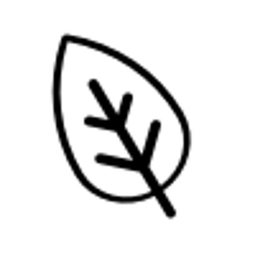 Clear Genius Toner + Serum