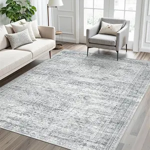 Area Rugs Gray Low Pile Indoor Washable Trendy Faded Style Rugs for Bedroom Living Room Dining Room Foldable Non-Slip Thin Grey Print Mat